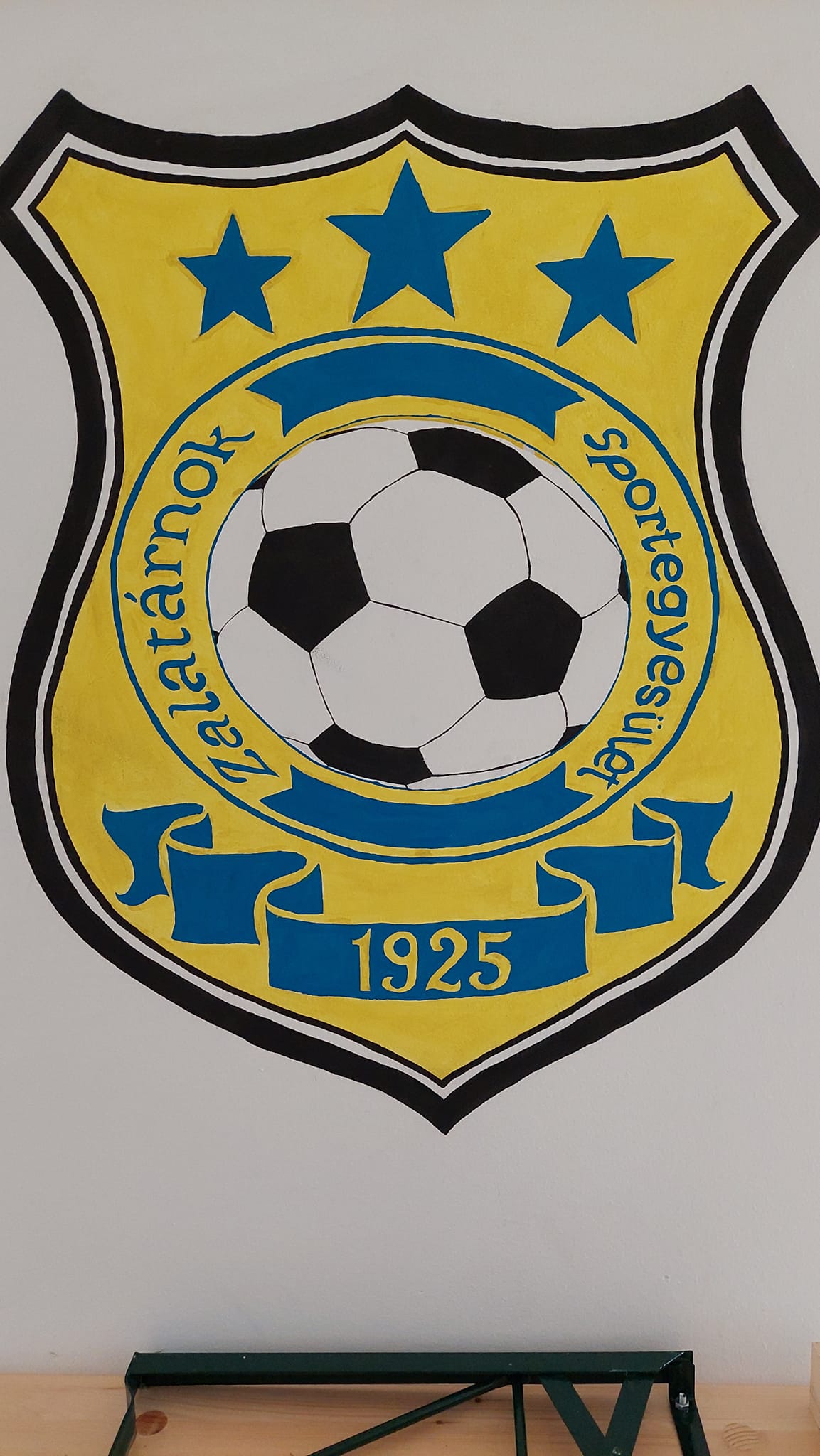 202410 Foci
