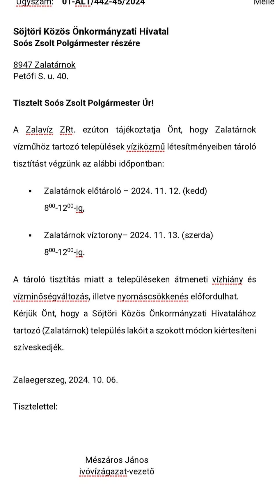 202410 vizmu