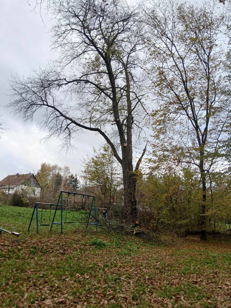 20241119 parkrend2 20241119 parkrend2